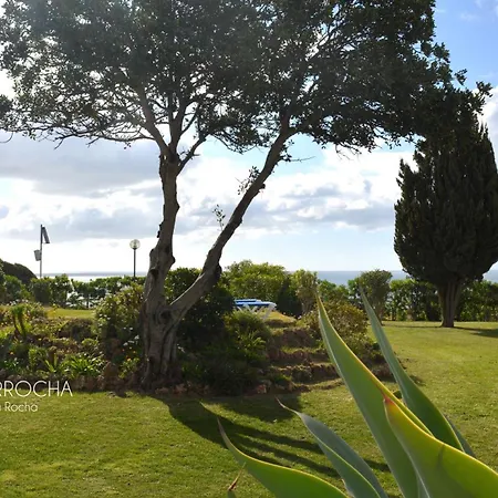 Typical Tm Flat With A Terrace And Sea View In Vsr Porches (Algarve)